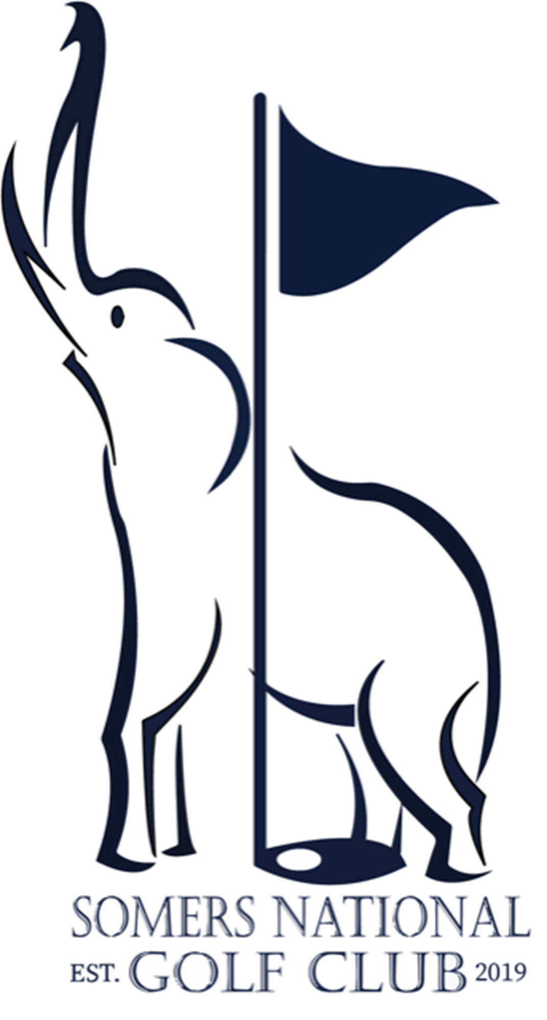 Picture1 Sample Partner logo